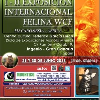 Cartel Expo Felina Gran canaria