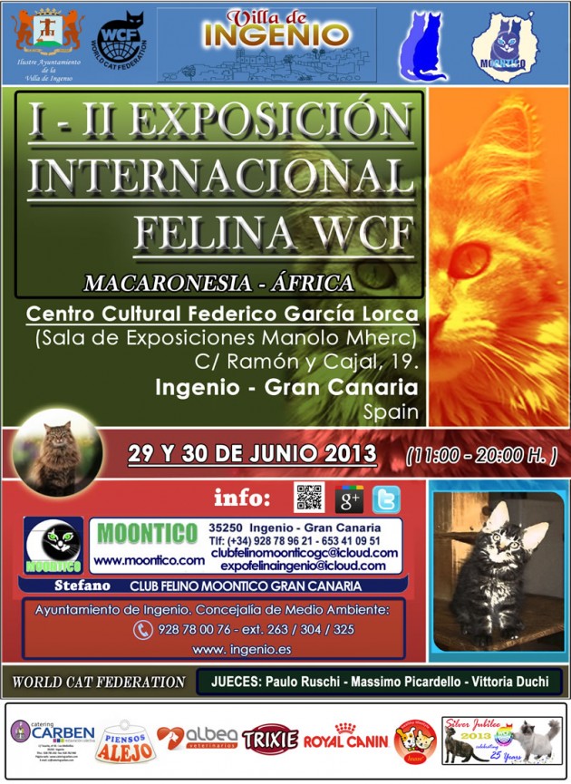 Cartel Expo Felina Gran canaria