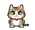 aminaacered