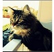 Ester